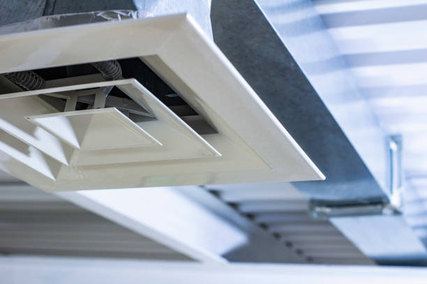 Best Air Duct Mold Removal  in Hastings, PA