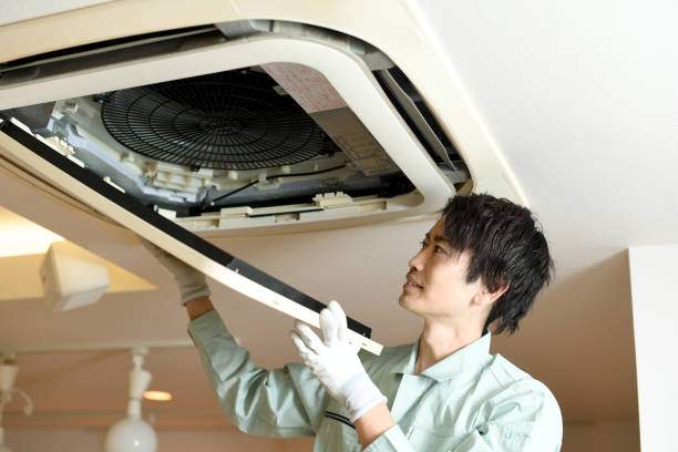 Air Duct Mold Removal in Hastings, PA